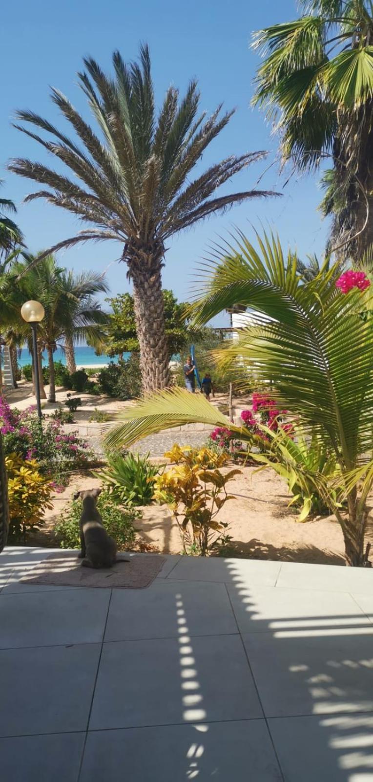 Beach Villa Am Praia De Chaves, Sal Rei, Boa Vista Exterior foto